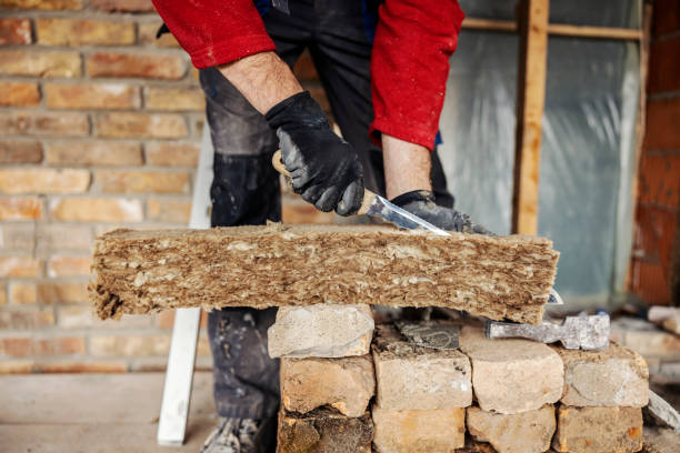 Best Professional Insulation Contractor  in Pecan Plantation, TX